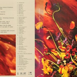 PAUL McCARTNEY - FLOWERS IN THE DIRT / 3CD+DVD !